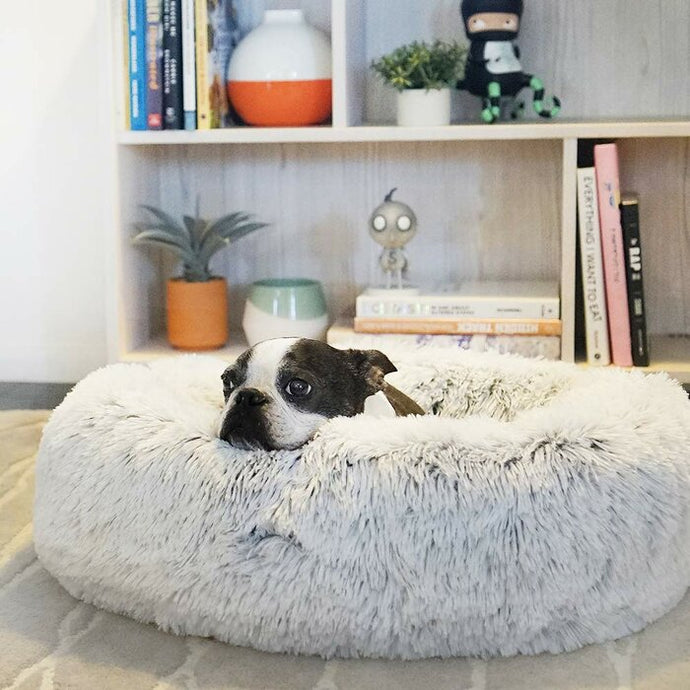 Grey plushy